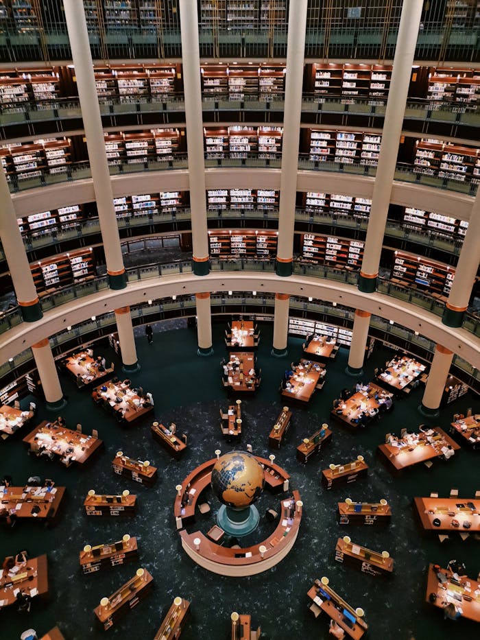 Pexels Photo 36497348